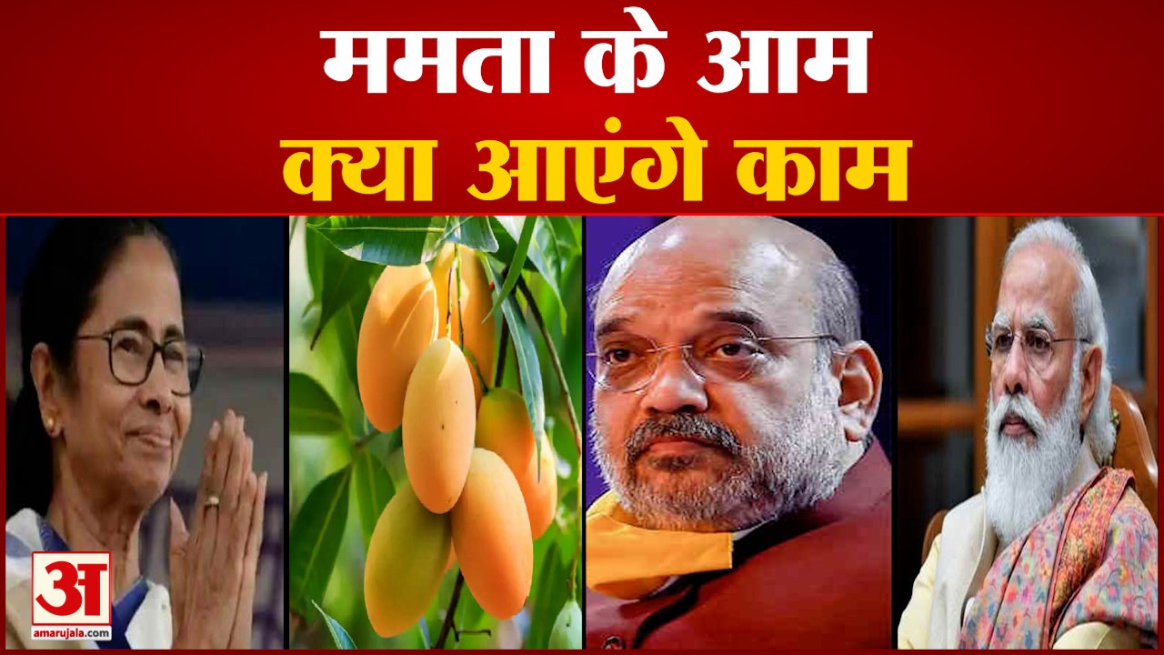 ममता ने निभाई परंपरा, पीएम मोदी और अमित शाह को भेजे आम | Mamata Banerjee Send Mango To PM Modi