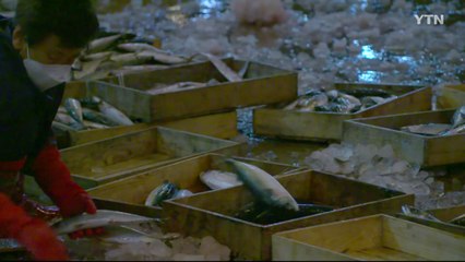 [YTN 탐사 보고서 기록] 어시장의 법칙 / YTN