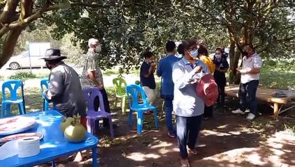 ปราจีนบุรี นายก อบจ.ปราจีนบุรี พาชมสวนส้มโอส่งออกของเกษตรกร เป็นกำลังใจในช่วงโควิค