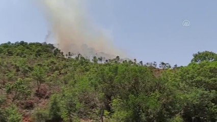 BALIKESİR - Orman yangını kontrol altına alındı