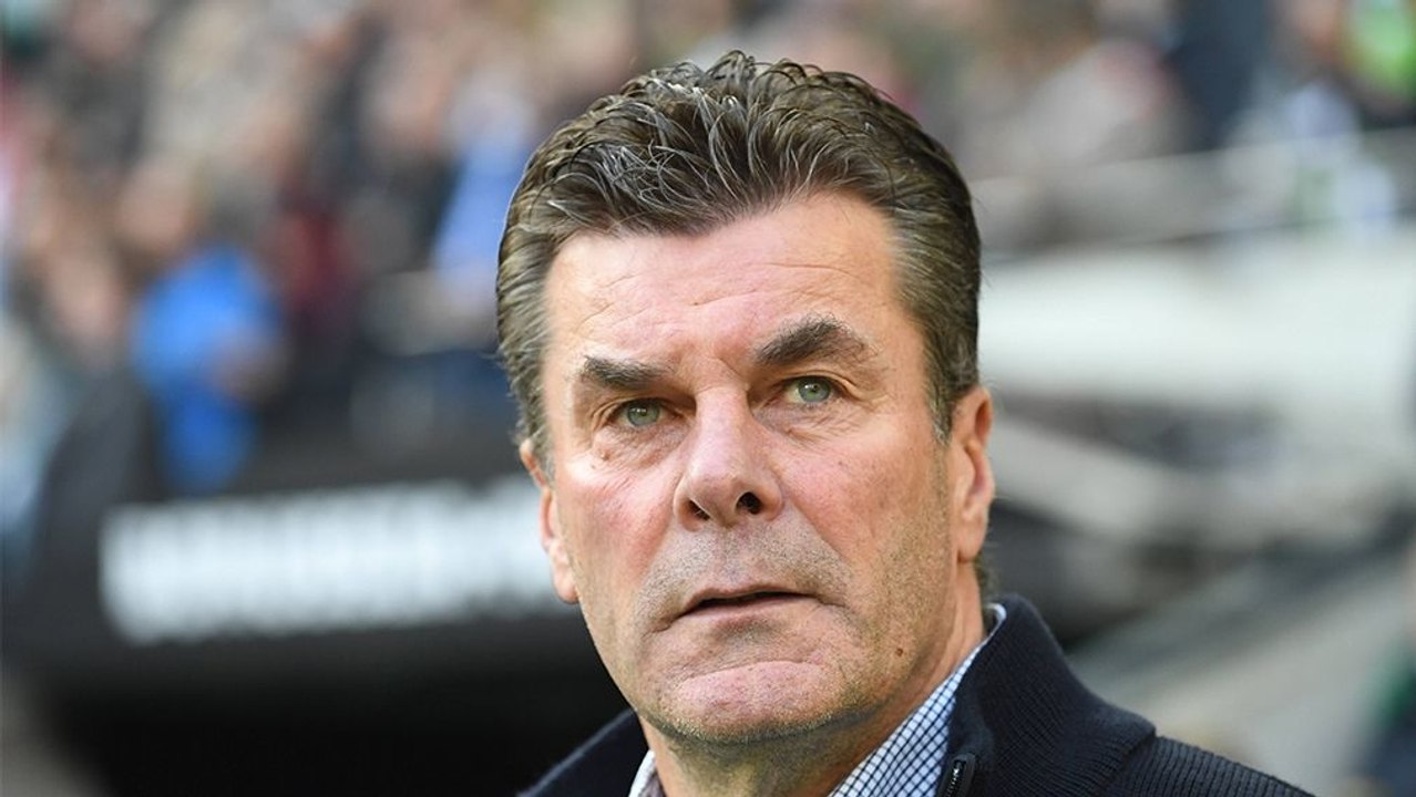 'Eigentlich Quatsch' - Heckings Momentaufnahme vor Bremen