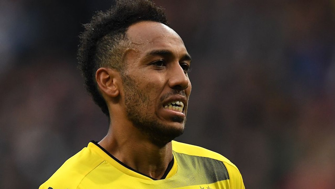 Aubameyang vor Rückkehr - Stöger hält die Tür offen