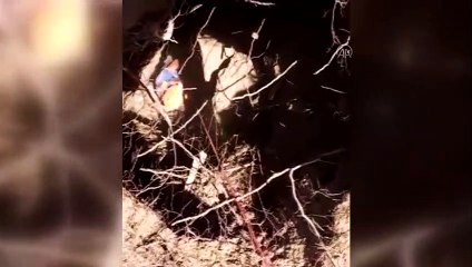 SİVAS - Kuyuya düşen keçiler AFAD ekibince kurtarıldı