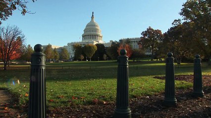 VRAI OU FAKE. La maladie de Lyme est-elle vraiment un problème de santé publique majeur ?