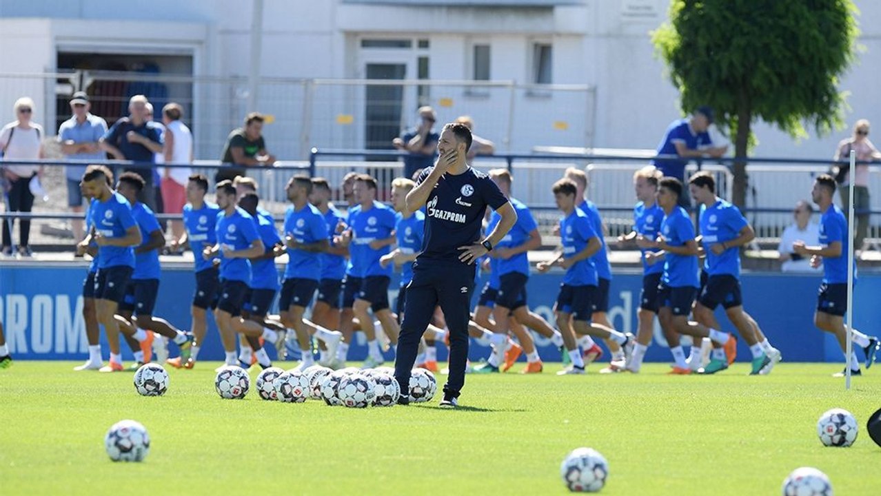 Vier Neuzugänge und perspektivlose Rückkehrer - S04 startet in Vorbereitung