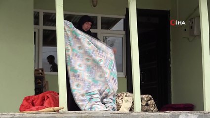 Van’da bir mahallenin başı bit ve pirelerle dertte