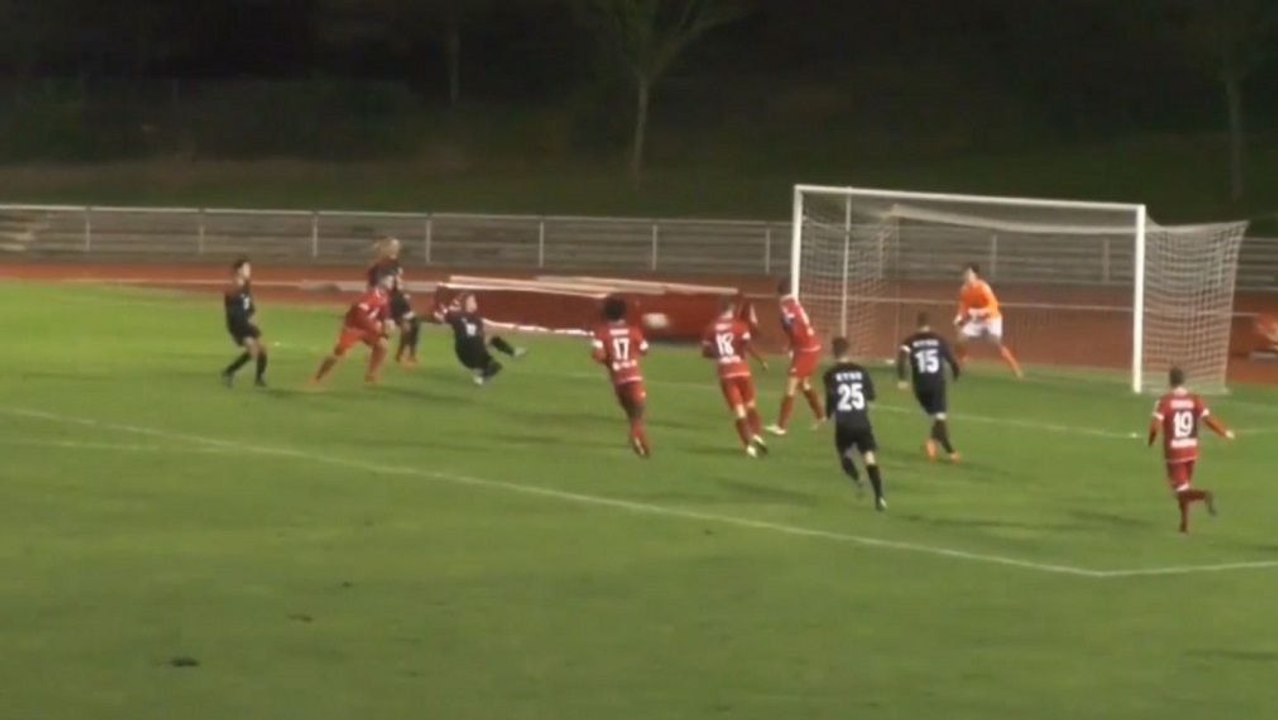 Lupfer, Seitfallzieher oder Torwarttore | Kölns TOP Tore Feburar 2018