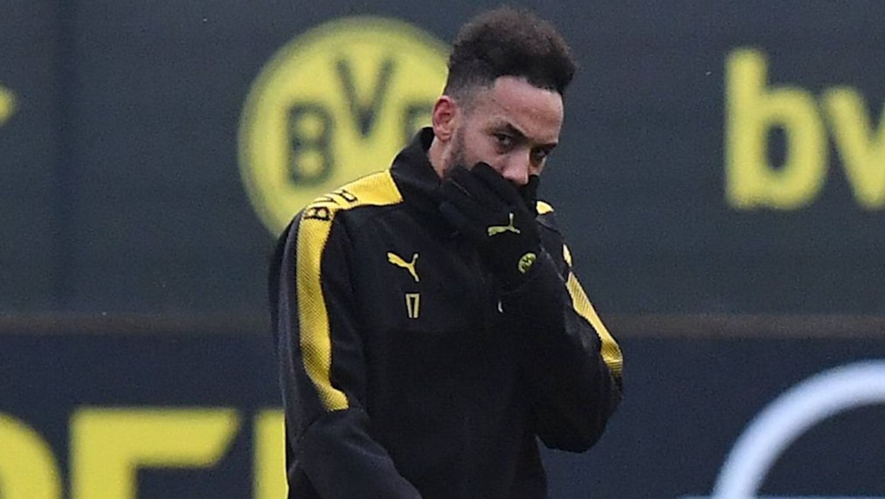 Stöger über Aubameyang: 'Einsichtig, nicht stur'