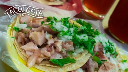 Carnitas Paty | Tacología