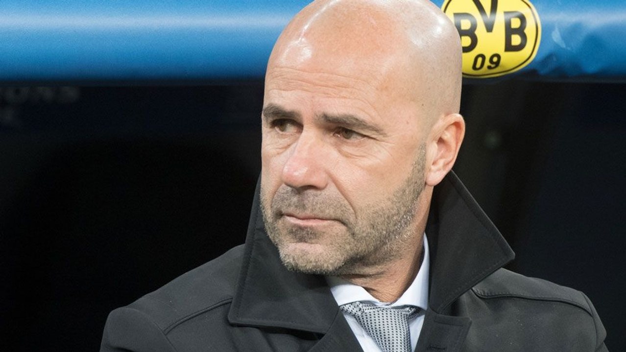 Sonderlob für Subotic: 'Ein super Profi'