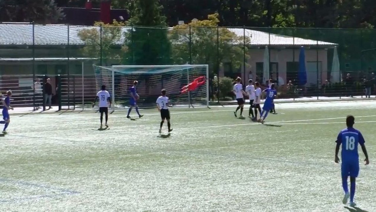 Sensationstaten in Frankfurt | Die Top-Paraden des Jahres