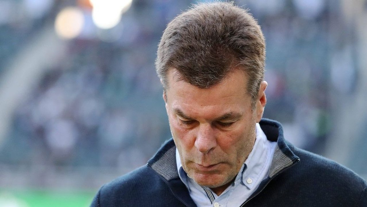 Gladbacher Wundertüte: 'Am Einsatz liegt es nicht'