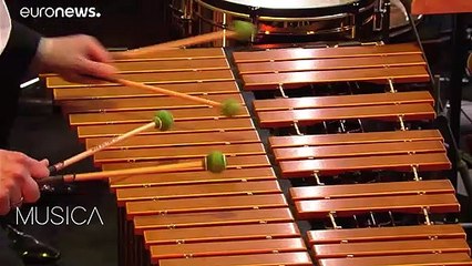 'Pasión por viajar' en el Concierto de una Noche de Verano en Viena