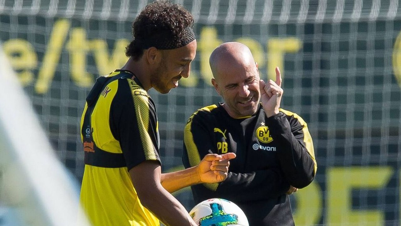 BVB zurück im Liga-Alltag - 'Der Akku ist voll'