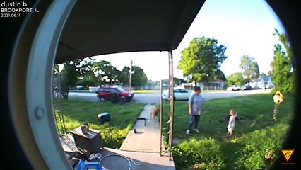 Daughter almost got hit by uninsured driver playing in her yard. 2021.06.11 — BROOKPORT, IL