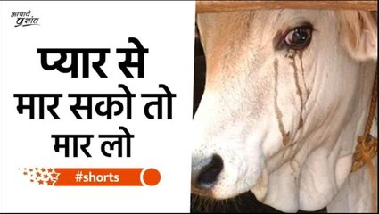 प्यार से मार सको तो मार लो #shorts