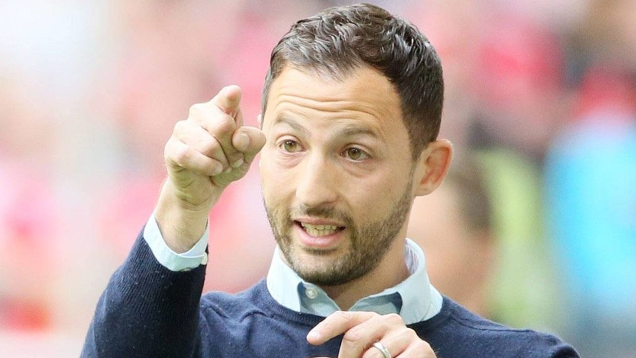 Domenico, wer? Tedesco überzeugt Schalke