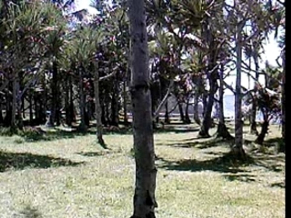 SV_A0038
