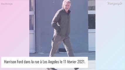 Harisson Ford : Le tournage d'Indiana Jones suspendu 3 mois suite à sa blessure