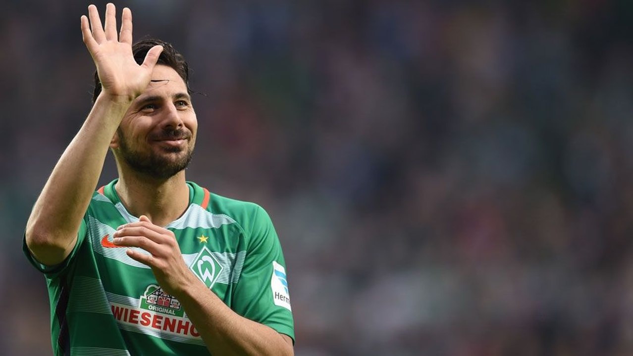 'Großer Teil der Werder-Geschichte' - Nouri würdigt Pizarro