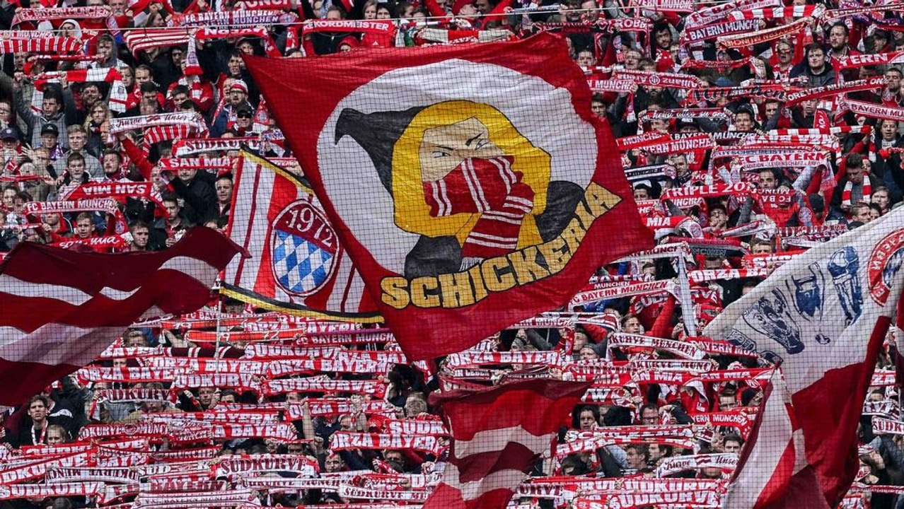 Doppel-Aus: Das sagen Bayern-Fans über Ancelotti