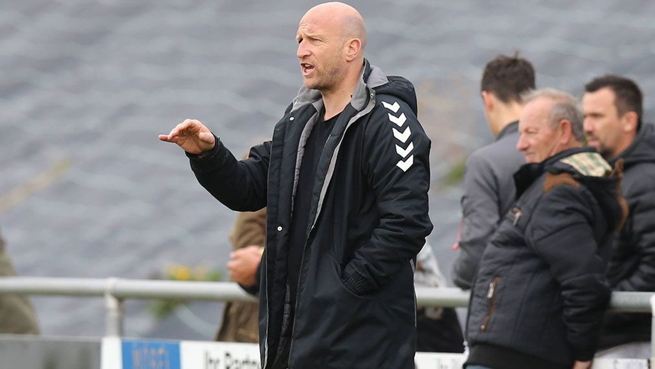 Junglöwen verderben Prinzens Debüt