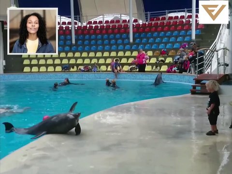 فيديوهات مضحكة 2021-Funny videos 2021