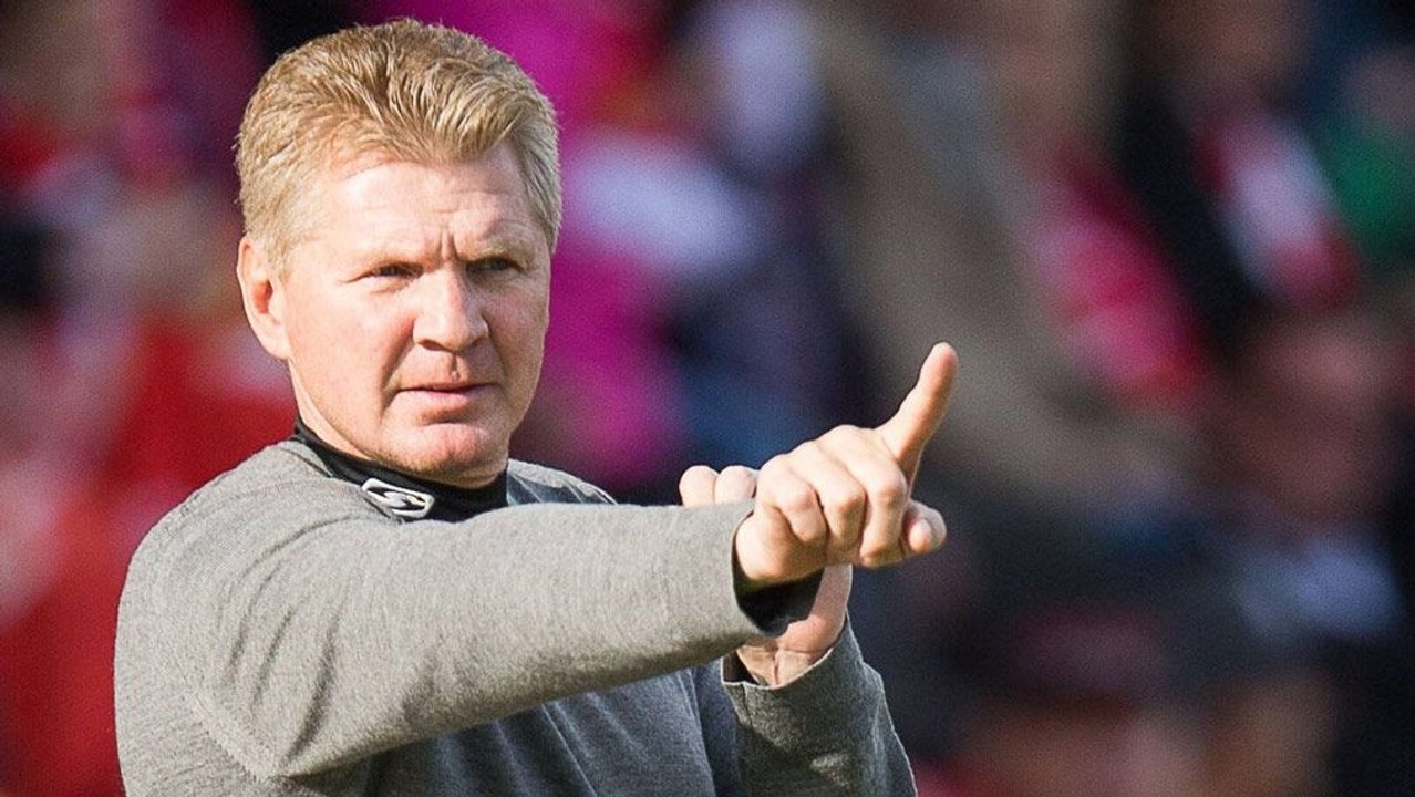 Elf Tiger müsst ihr sein - Effenberg will Dortmund 'bearbeiten'