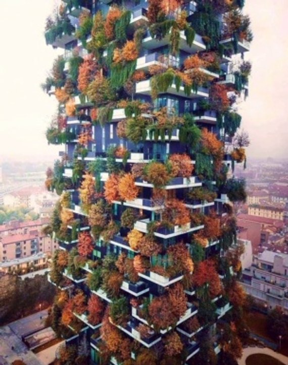 Really Weird Looking Buildings