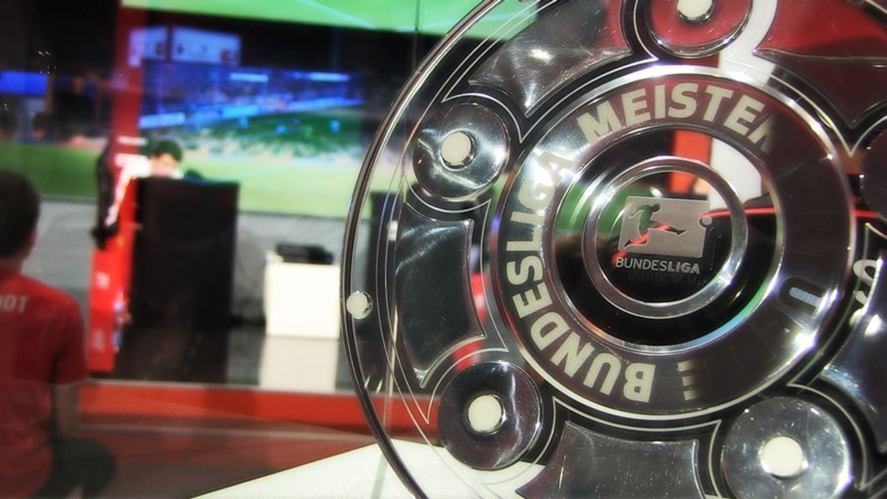 Samstag geht's los: Das VBL-Finale in Dortmund