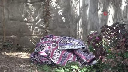 Bahçede kilime sarılı halde buldukları kadını uyandıramayınca polisi aradılar