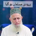 Hafiz Hafeez Ur Rehamn Qadri Short Bayan - yahoodi musalman ho gaya - Islamic WhatsApp Status