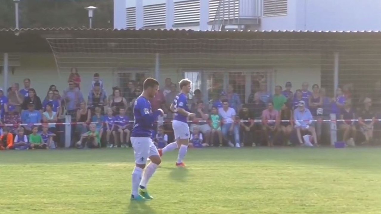 Fernschuss aus dem Lehrbuch von Darmstadts Jungwirth