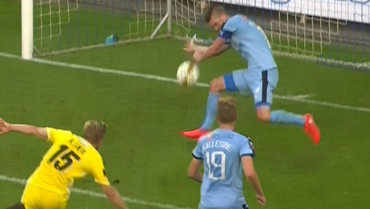 Rote Karte, Elfmeter, Glanzparade Halldorsson