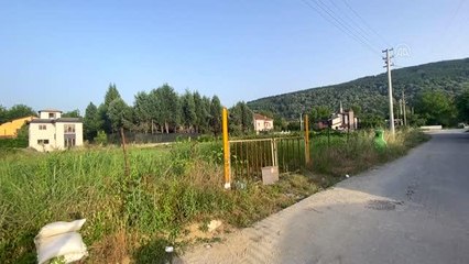Toprağa gömülü ceset parçaları bulundu