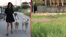 Sakarya'da vahşet! Köpekler, parçalara ayrılmış iki cansız beden buldu
