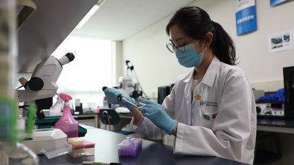 "코로나 바이러스 콧속으로 감염"...침투 경로 첫 확인 / YTN