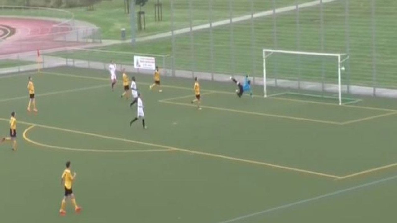 Unmöglicher Winkel, aber von Storch sticht zu