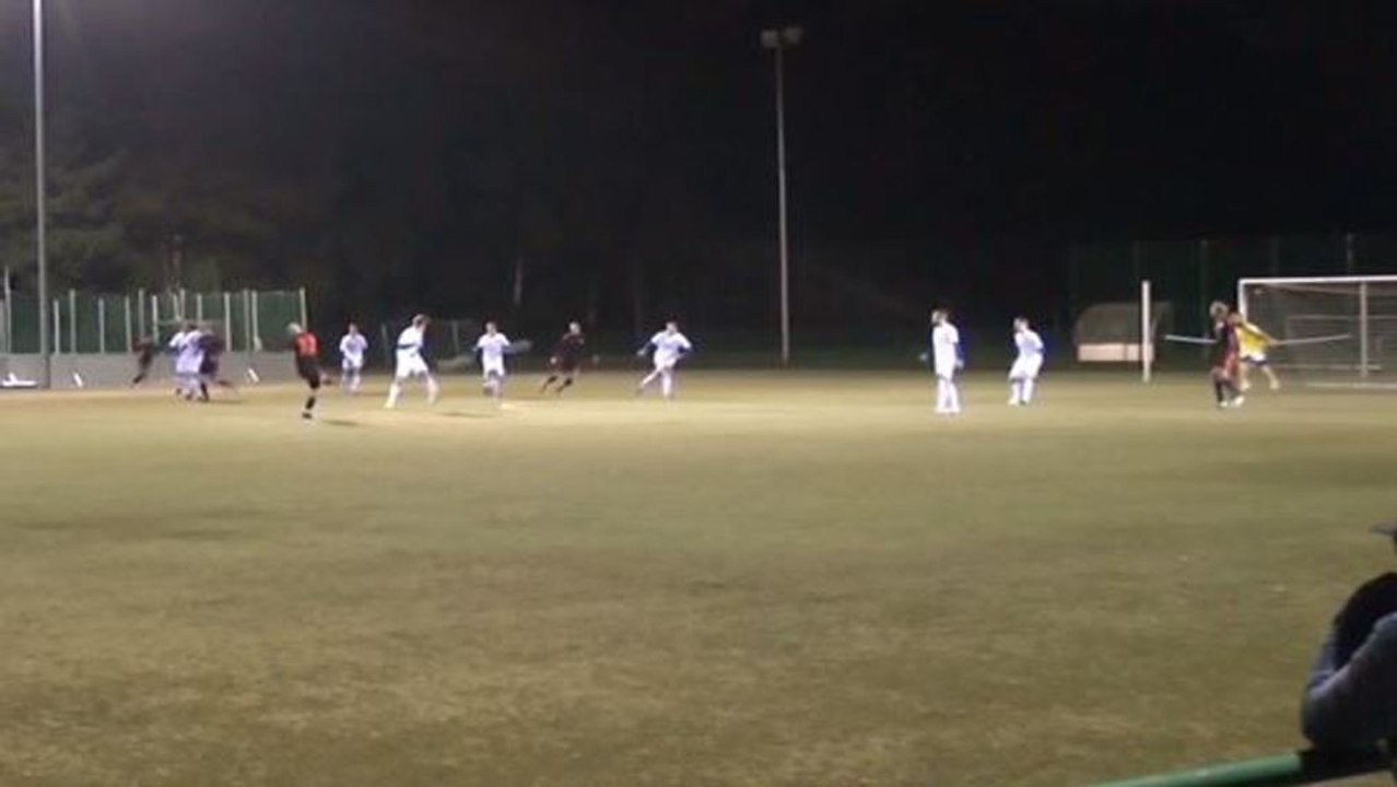 Traumtor für den HSV