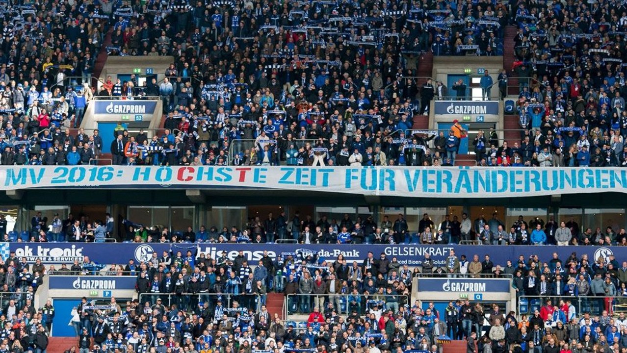 Rätsel Schalke - Die Fans auf der Suche nach der Lösung