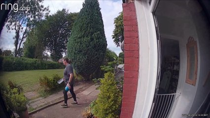 Bouncy Dog Barrels Through Owner for Ball