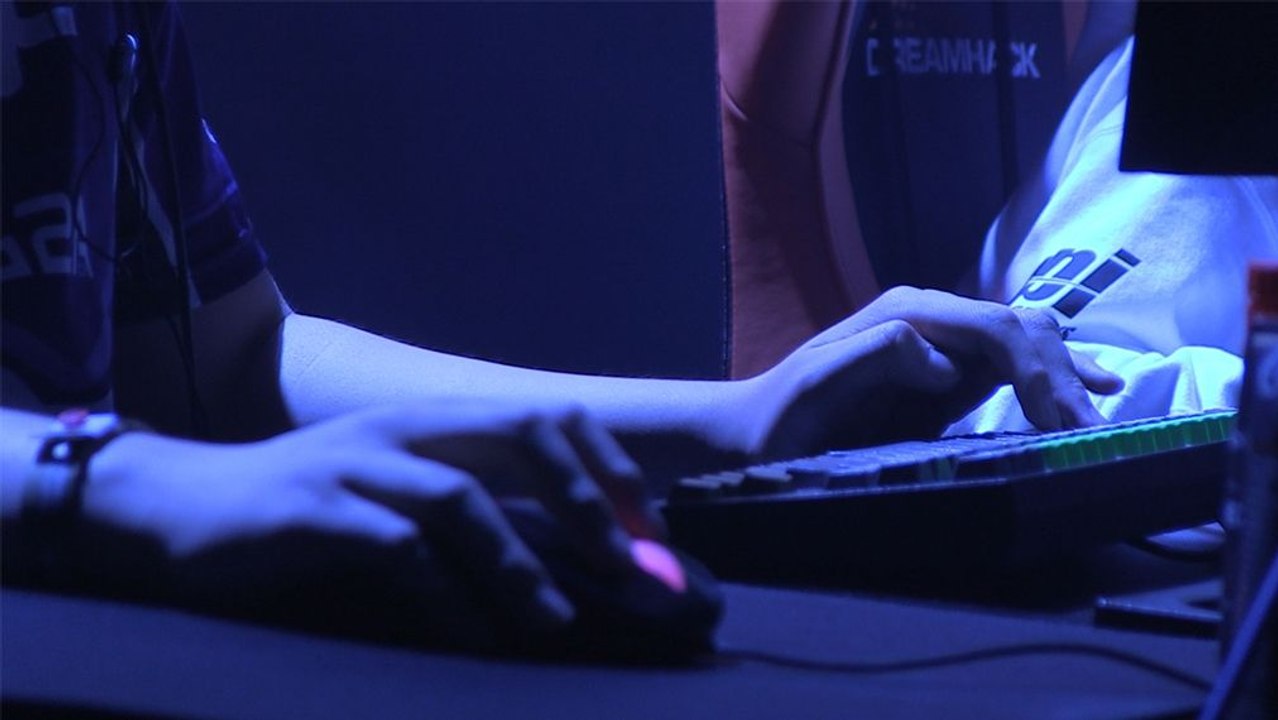 Maus, Tastatur oder lieber ein guter Monitor?