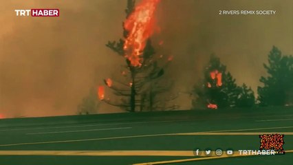 Kanada'da orman yangınları: Halkın tahliyesi istendi