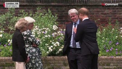 Estátua comemora os 60 anos da Princesa Diana