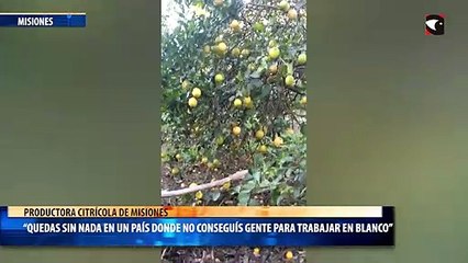 Quedas sin nada en un país donde no conseguís gente para trabajar en blanco