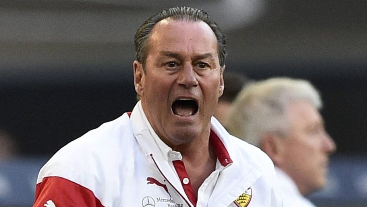 'Affen seid ihr!' Stevens' Ausraster im Video