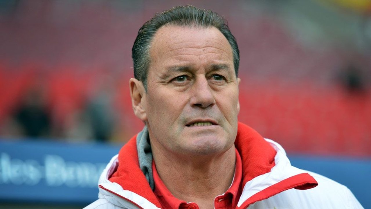 Multitalent Stevens - Knurrer, Arzt und Psychologe