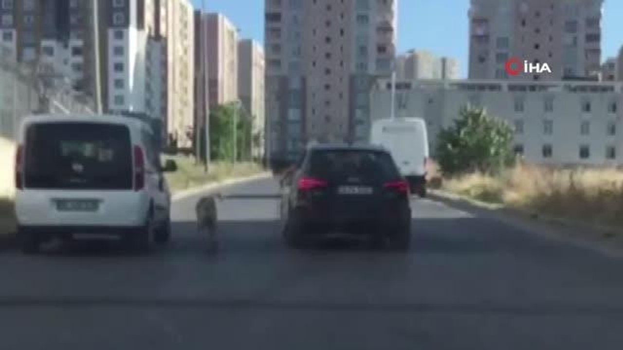 Araçla seyir halindeyken boynuna tasma taktığı köpeği peşinden koşturdu