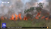 [이 시각 세계] 아마존 한 달 동안 화재 2천308건 발생