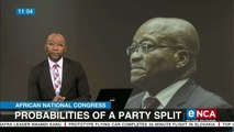 ANC won't split, says political analyst